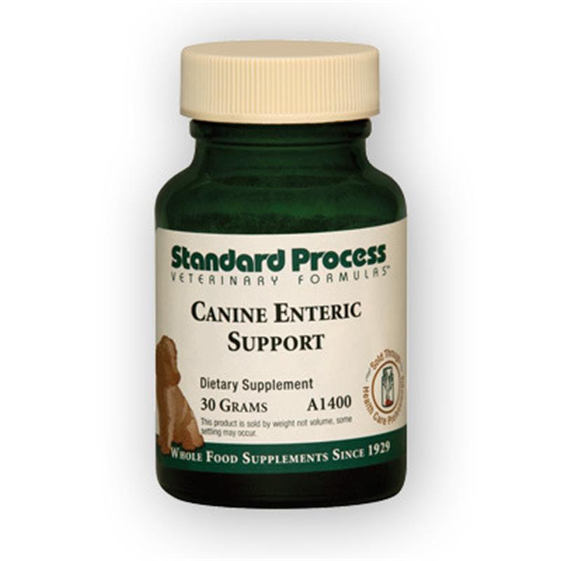 Standard Process Enteric Support for dogs | Allivet Affordable Pet