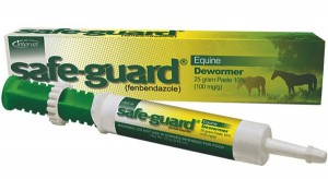 adguard for horses