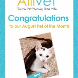 Allivet pet pharmacy store coupons