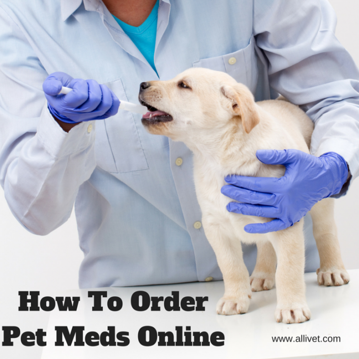 animal meds online