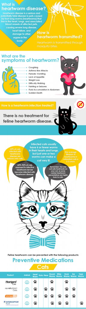 Free Heartworm Disease Info-Graphic for Cats - Allivet Pet Care Blog