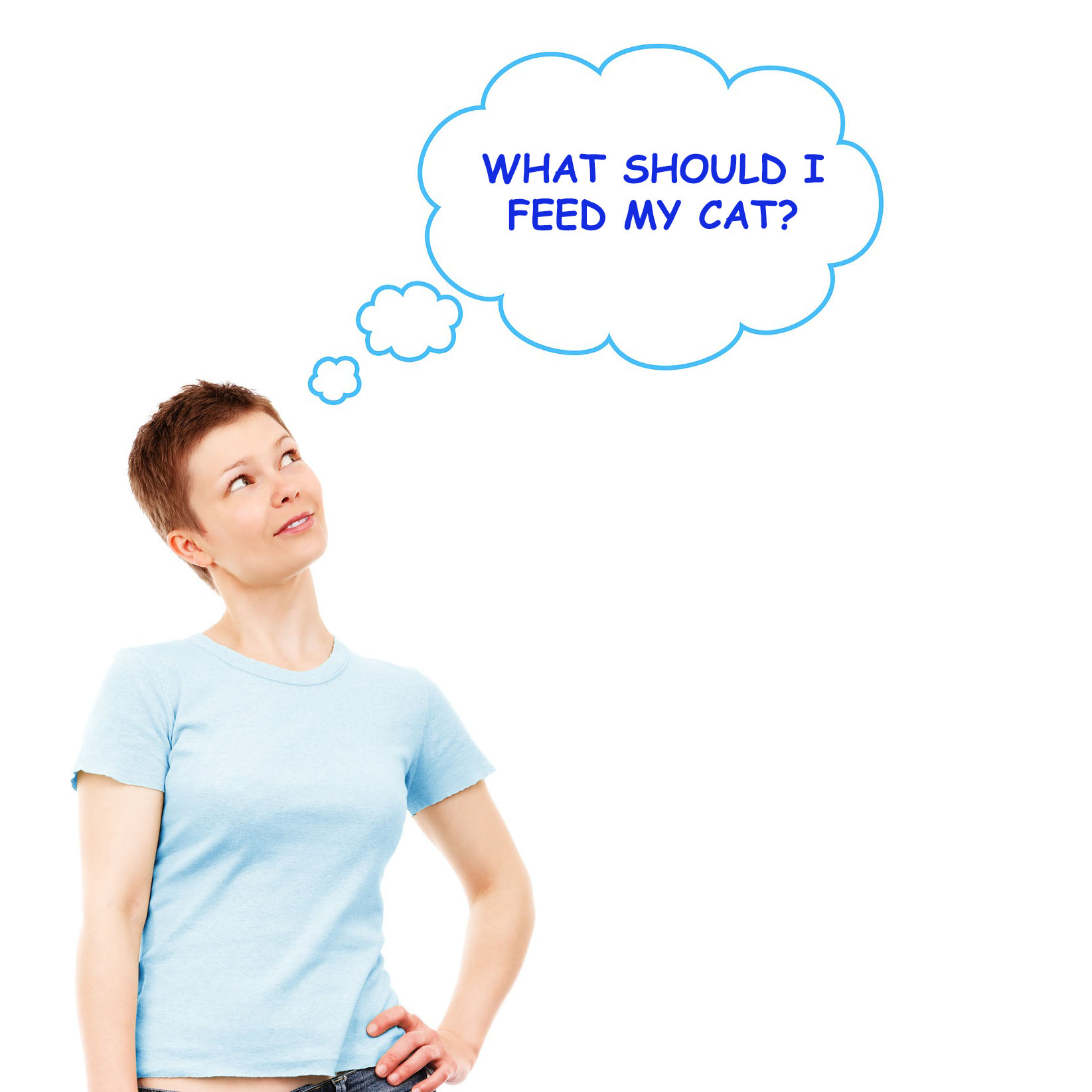 What to Feed a Cat throughout Its Lifecycle Free Infographic Allivet