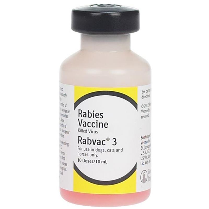 Five Essential Vaccines Your Horse Must Have Allivet Pet Care Blog   Rabvac3 Rabies Horses Equine 