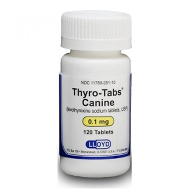 Thyroxine medication for dogs