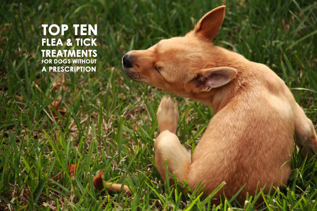 best non prescription flea pills for dogs