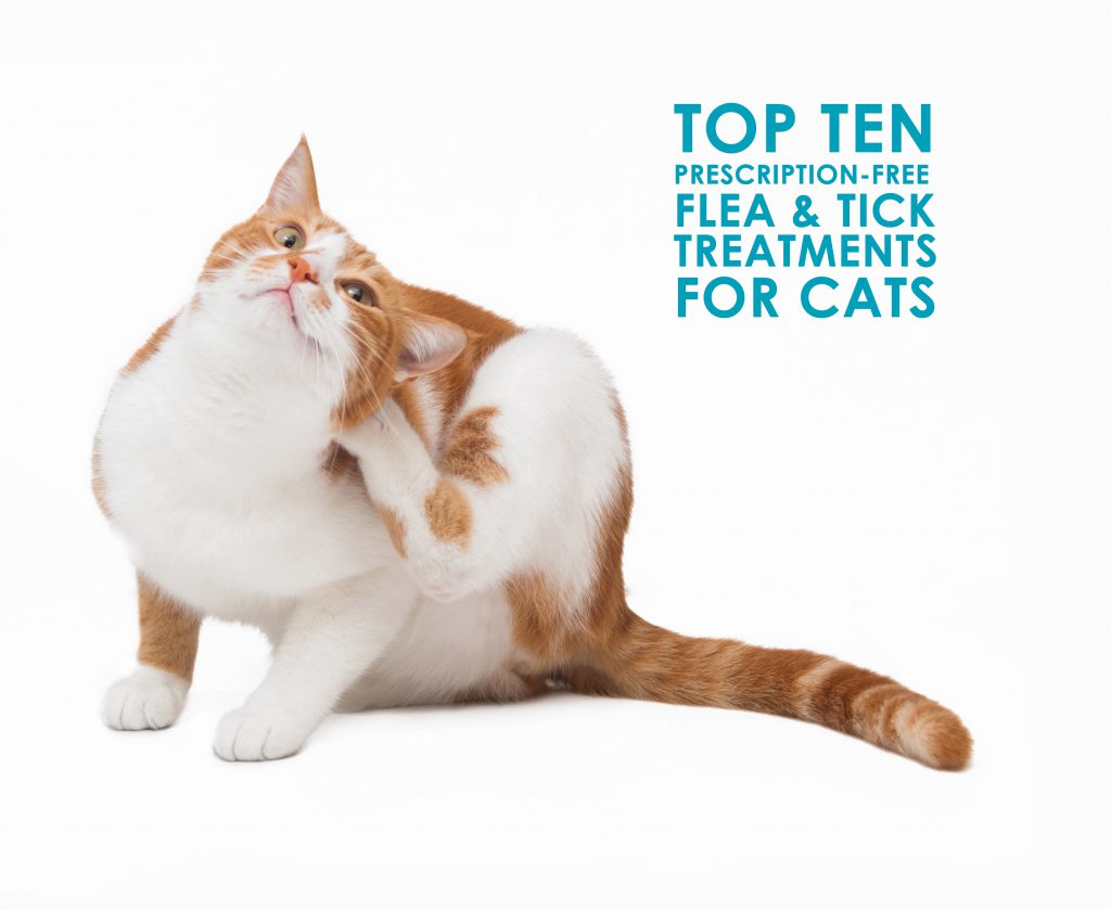 prescription flea meds for cats