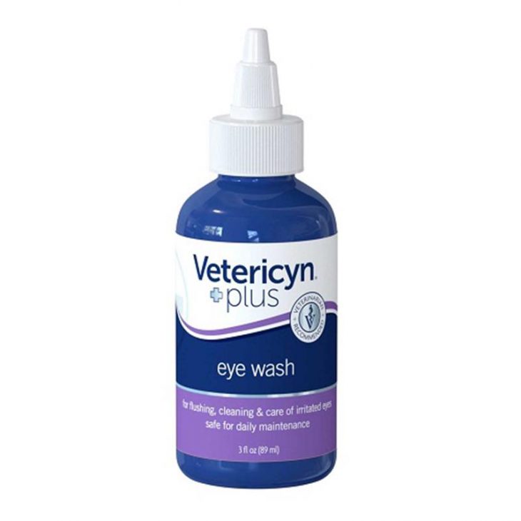 Top 10 Eye Care Products for Dogs and Cats - Allivet Pet Care Blog