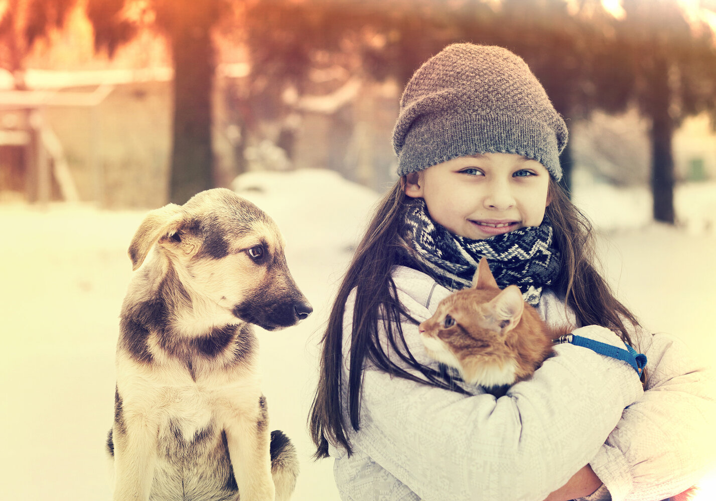 do dogs need flea medication in the winter