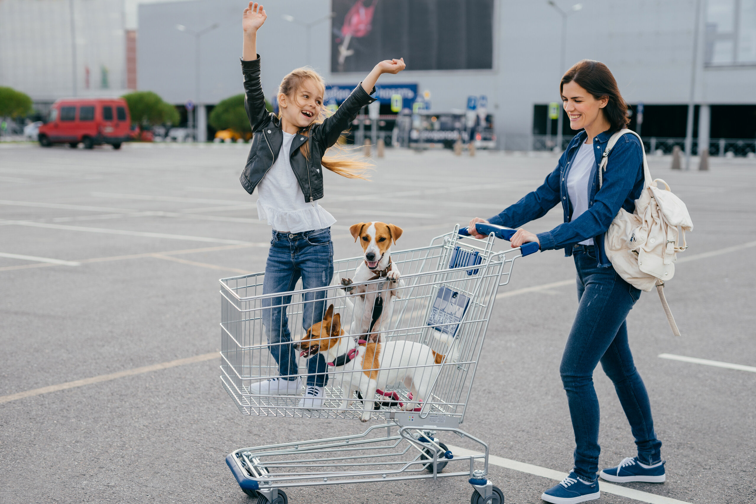 what retail stores allow dogs