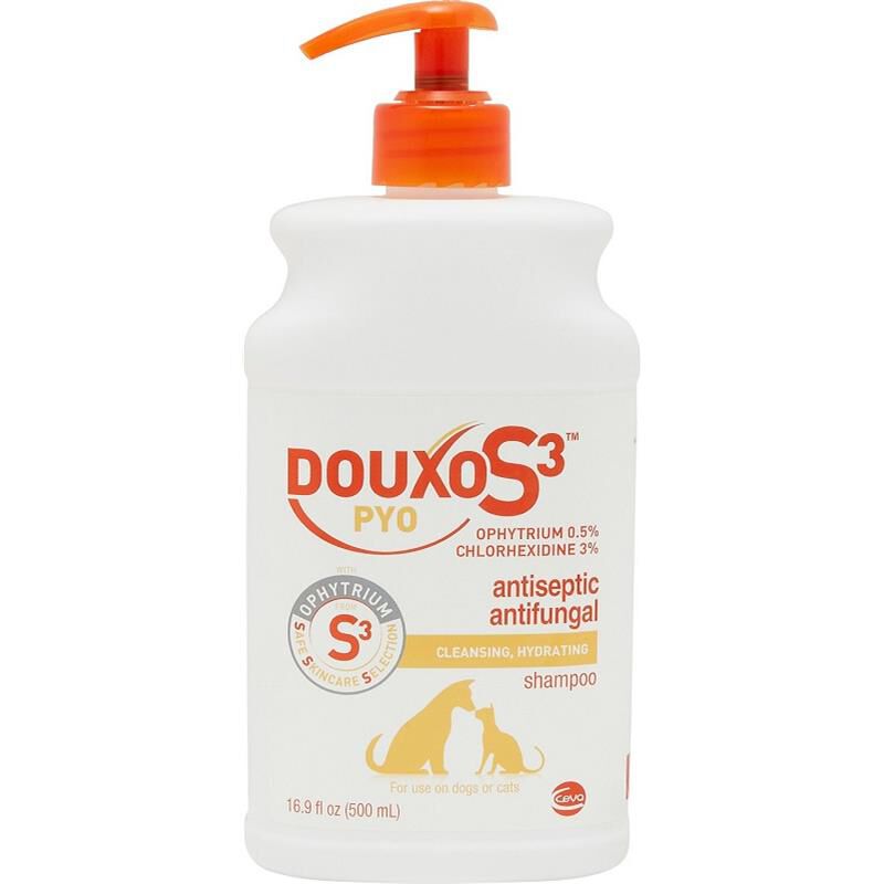 Chlorhexidine soap for outlet dogs