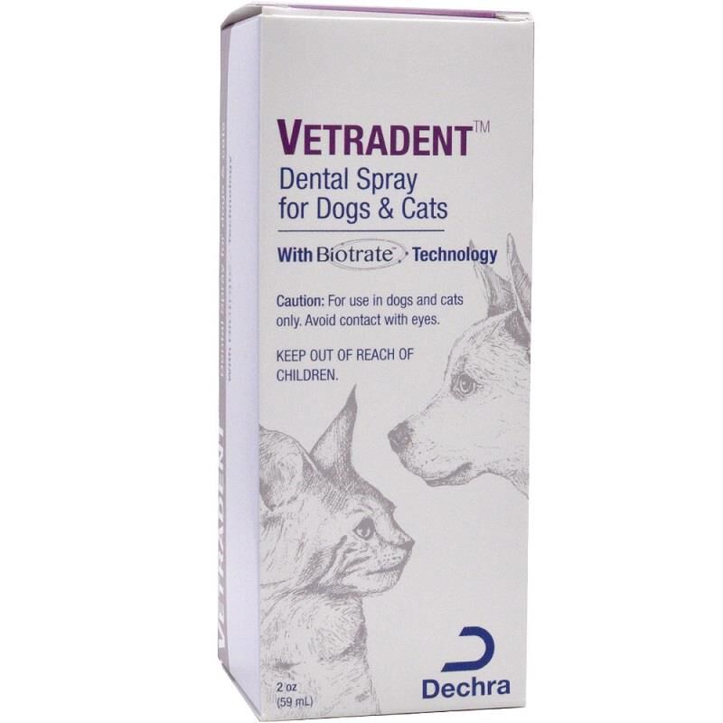 Methanol spray for outlet dogs