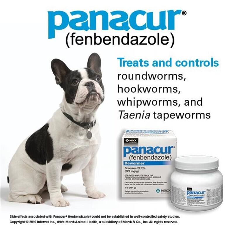 Panacur for online dogs