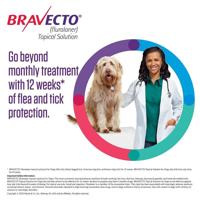 Bravecto Chews for Dogs Flea Tick Pills Allivet