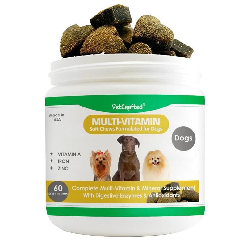 Nutristat for puppies best sale