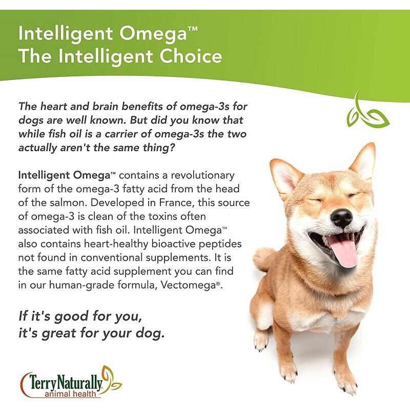 Terry Naturally Animal Health Intelligent Omega Salmon Oil for Dogs 60 Chews