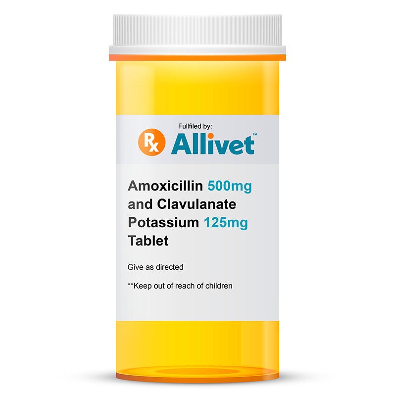 Buy Amoxicillin Clavulanate for Pets Antibiotics Allivet