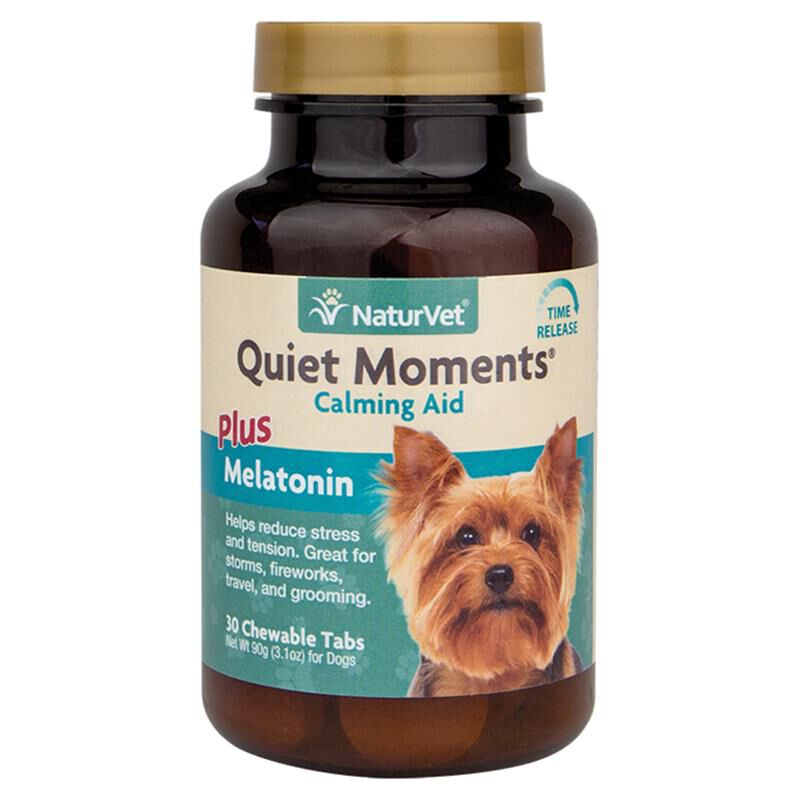 Over the counter meds for dogs with anxiety hotsell