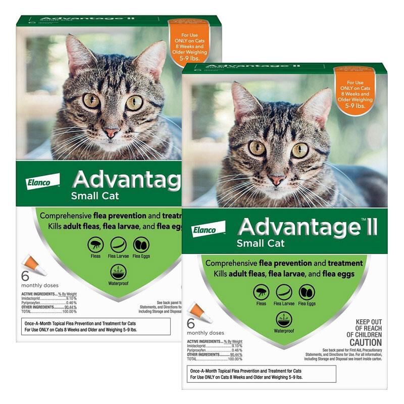 Advantage ii for cats ingredients sale