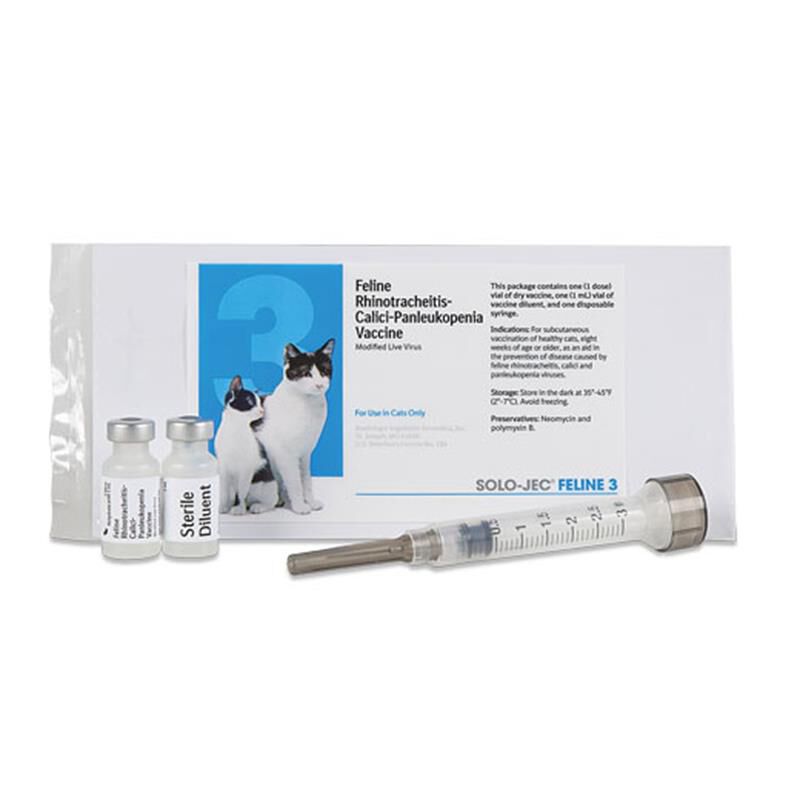 Feline discount distemper booster