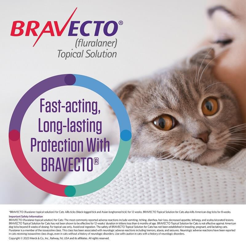 Bravecto Topical Solution Kills Fleas Ticks on Cats