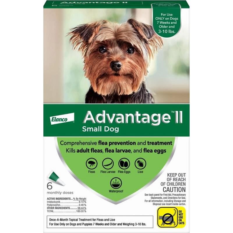 6 month flea treatment best sale