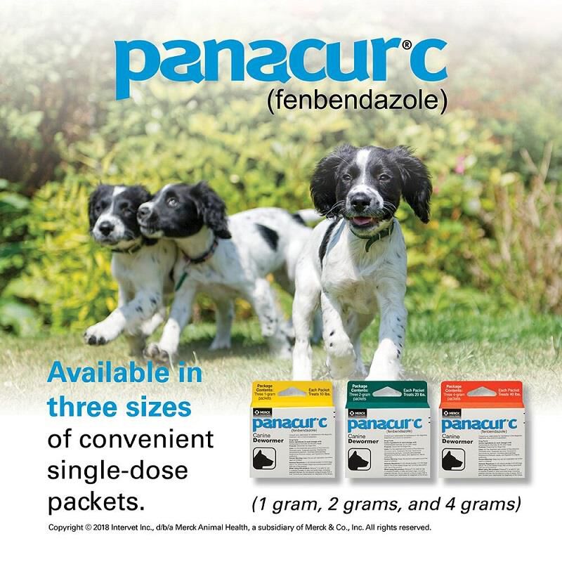 Panacur c side 2025 effects in dogs