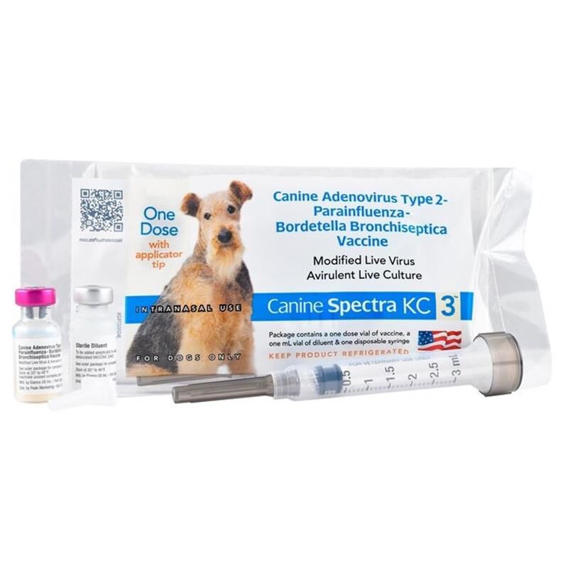 Kennel shop cough spray