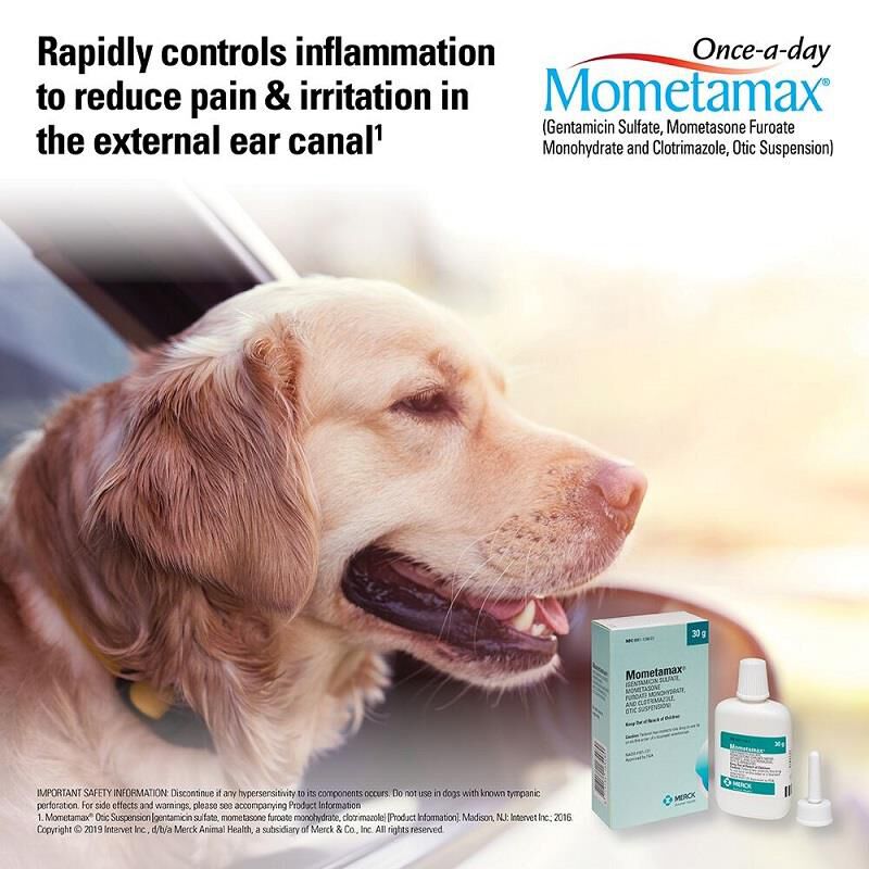 Mometamax for shop dogs side effects