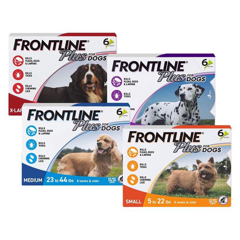 Frontline plus clearance for dogs