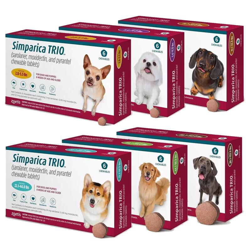 Flea and tick monthly pill 2024 for dogs