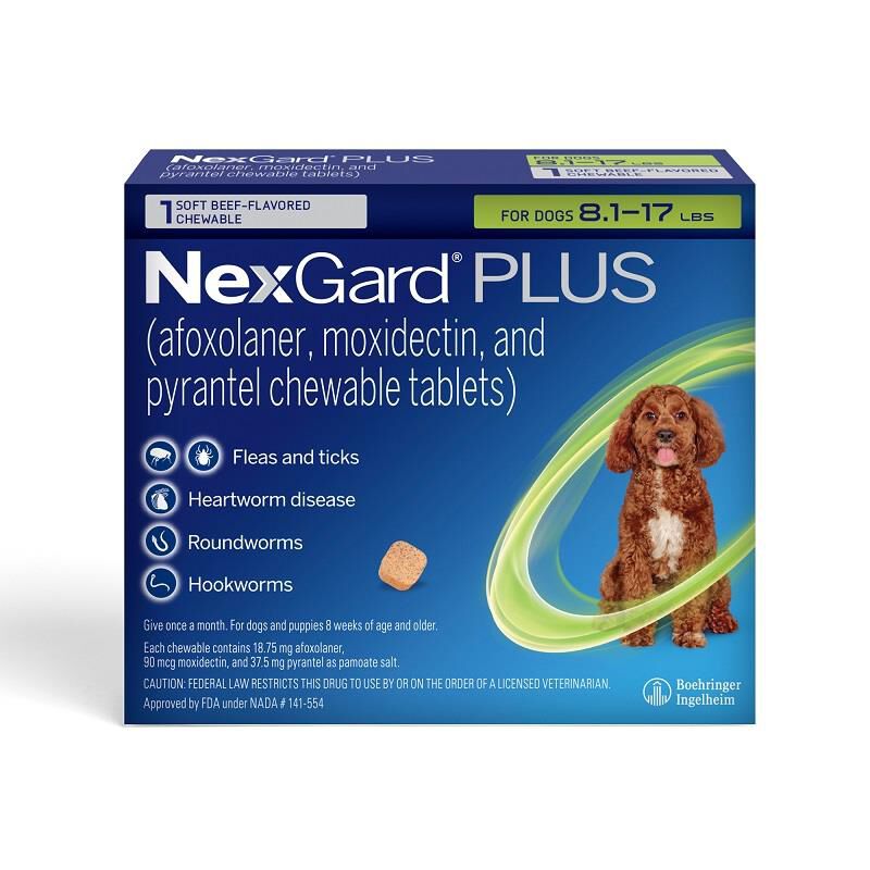 Nexgard for deals dogs