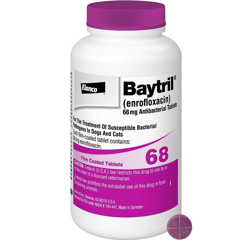 Baytril otic solution for dogs best sale