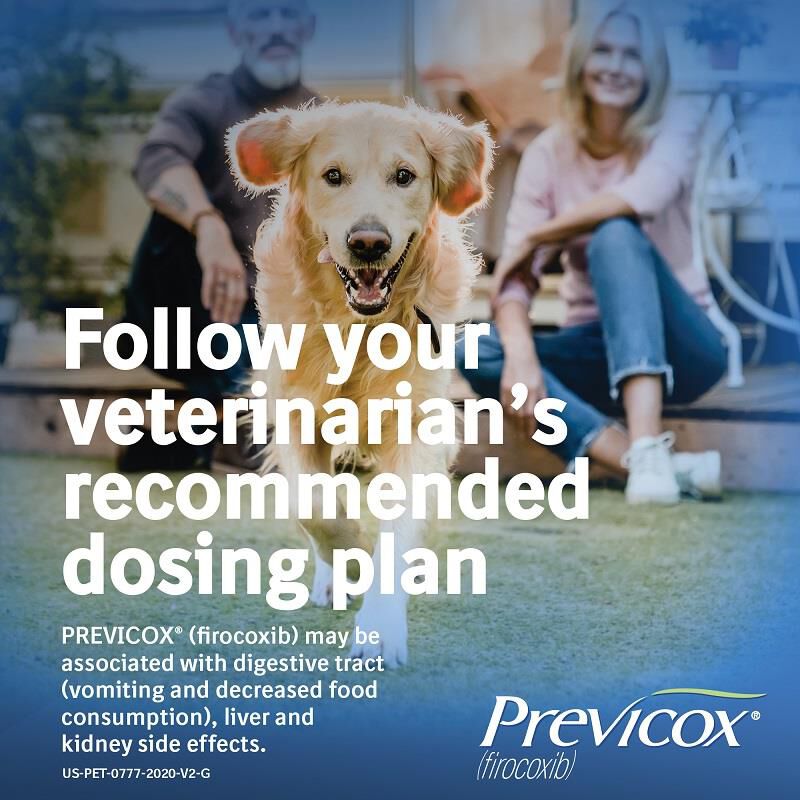 Previcox without vet store prescription