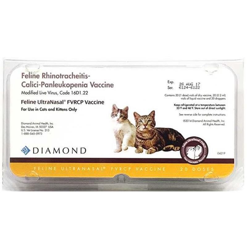 Feline distemper hot sale vaccine