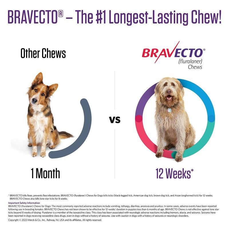 Bravecto Chews for Dogs Flea Tick Treatment Allivet