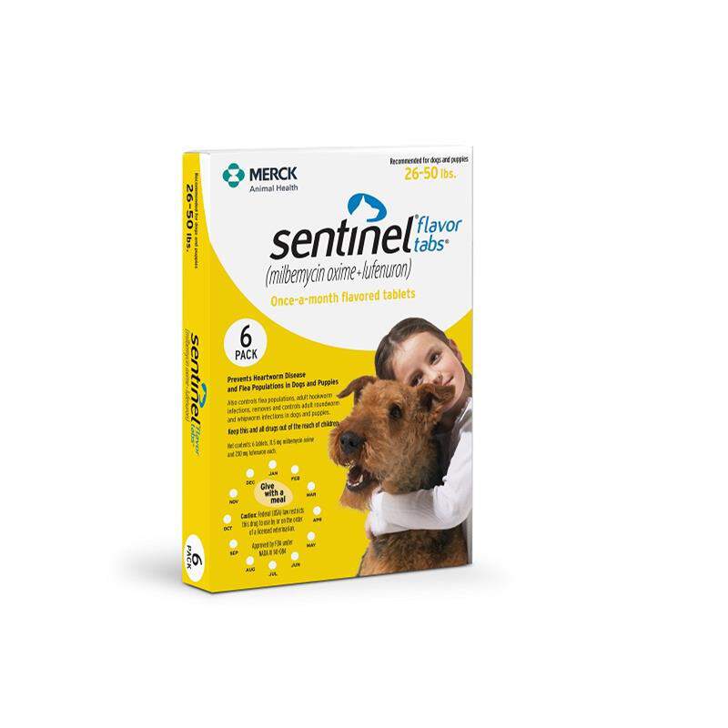 does sentinel give dogs diarrhea