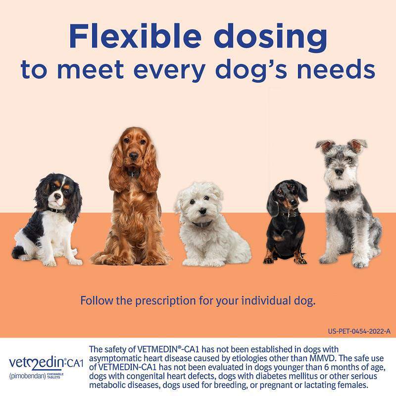 can i give my dog benadryl with vetmedin