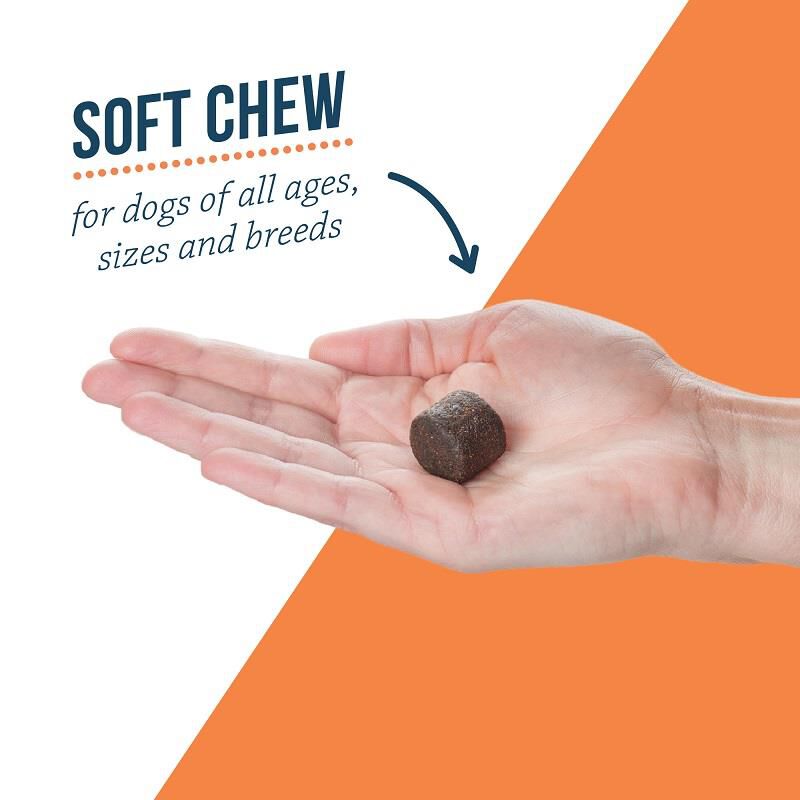 Bayer synovi g4 soft chews for dogs sale