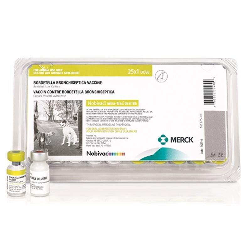 Nobivac Canine Intra Trac 3 Oral BB - Dog Vaccinations | Allivet