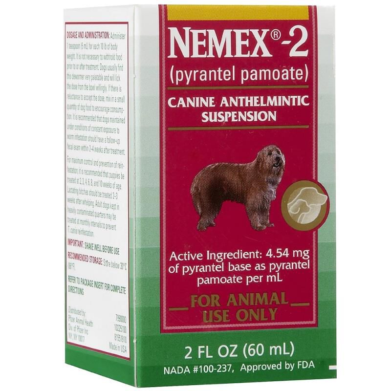 Nemex dosage shop for puppies