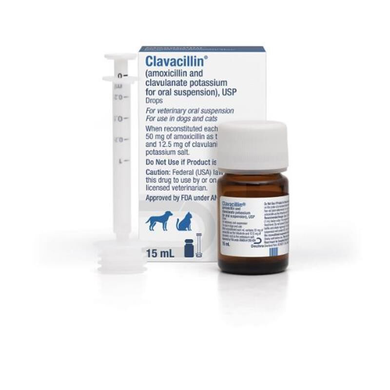 Non prescription antibiotics for cats best sale