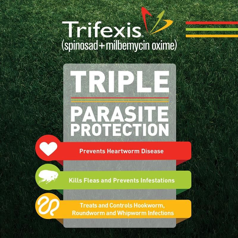 Trifexis Beef Flavored Flea Tick Chewables for Dogs