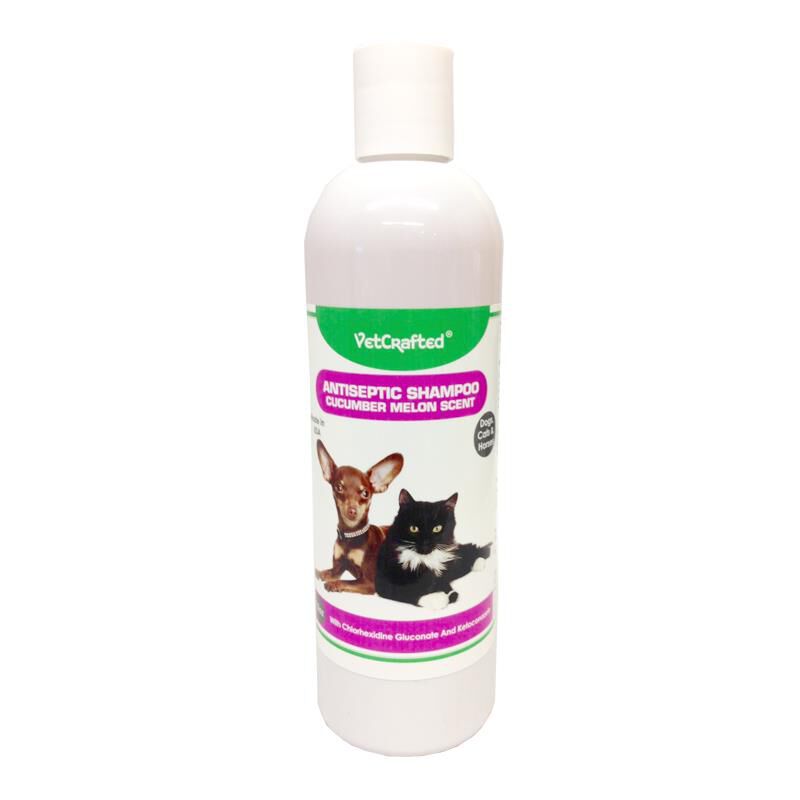 VetCrafted Antiseptic Shampoo w Cucumber Melon Scent 12 Oz for dogs cats and horses