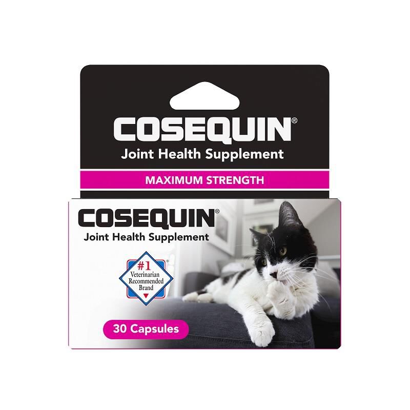 Cosequin capsules for dogs hotsell