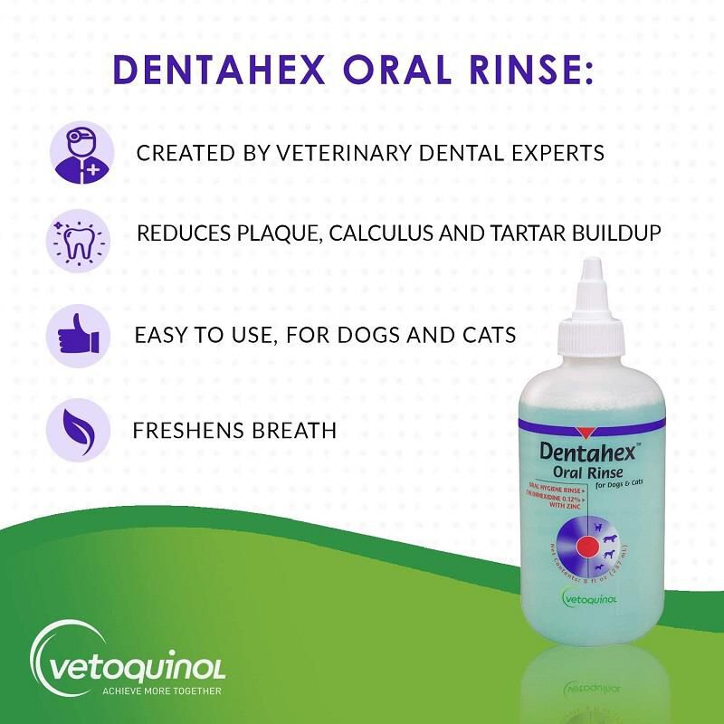 Antibacterial mouth shop rinse for dogs