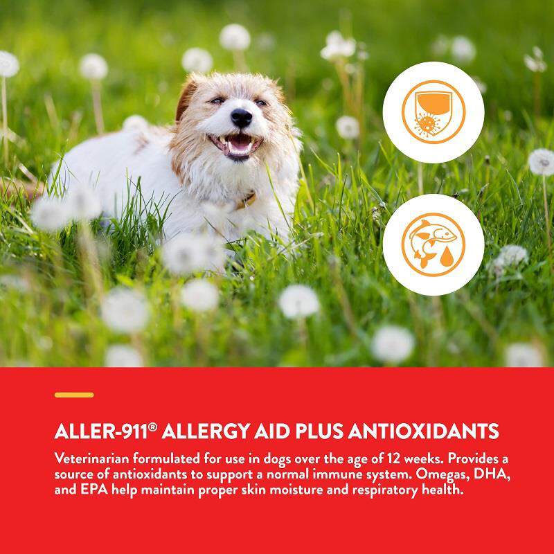 NaturVet Aller-911 Allergy Aid Plus Antioxidants Soft Chews for Dogs ...