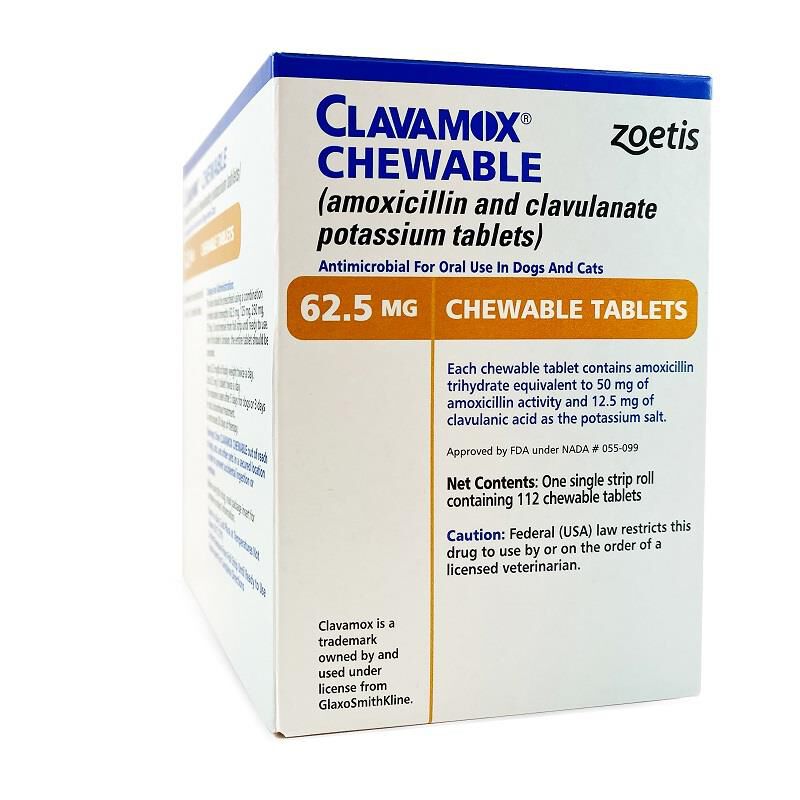 Clavamox Chewable Tablets Antibiotic for Dogs Allivet