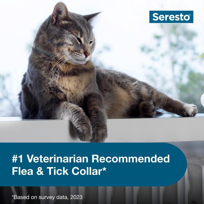 Seresto Cat Flea & Tick Collars for Any Breed of Cats - 2024 Box of 4