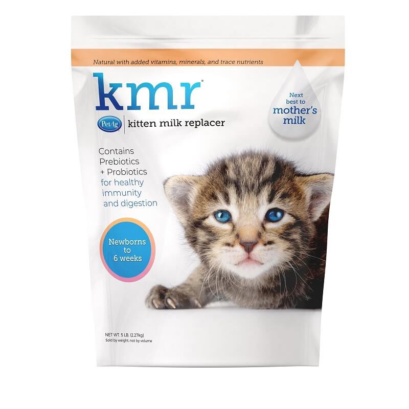 Where can i 2025 get kitten milk