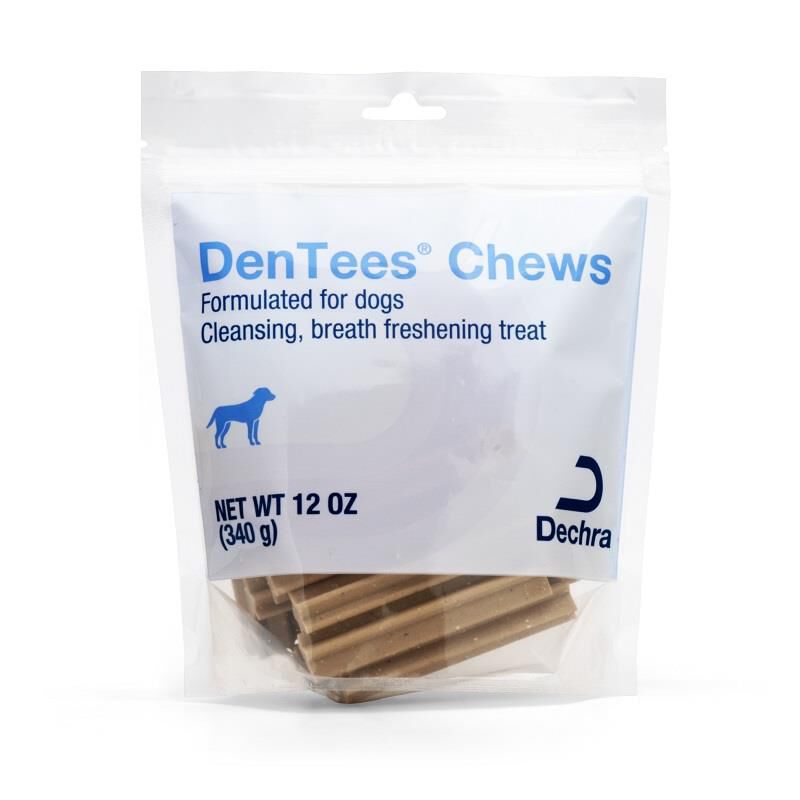 Buy Clenz A Dent Chlorhexidine Rinse for Dogs Cats Allivet